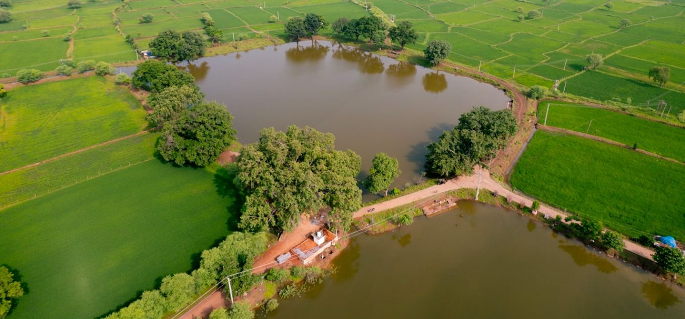 Aerial view of a village pond surrounded by green fields in rural India (representative image)
